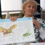 Открыт новый сезон в мультстудии