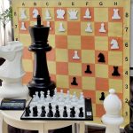 «Сильные фигуры»: молодёжные шахматные турниры в Рубцовске